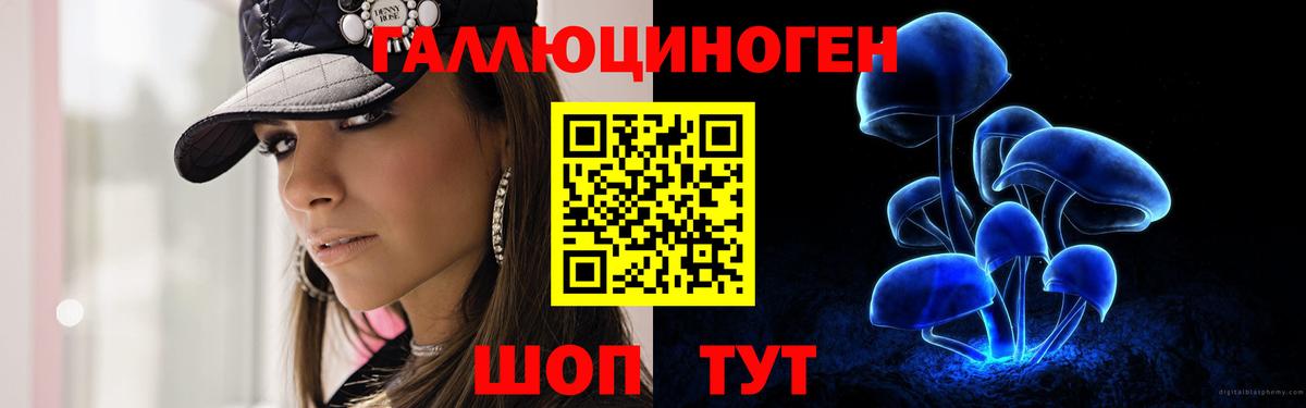 Уварово  Галлюциногенные грибы Cubensis  Вход с VPN 